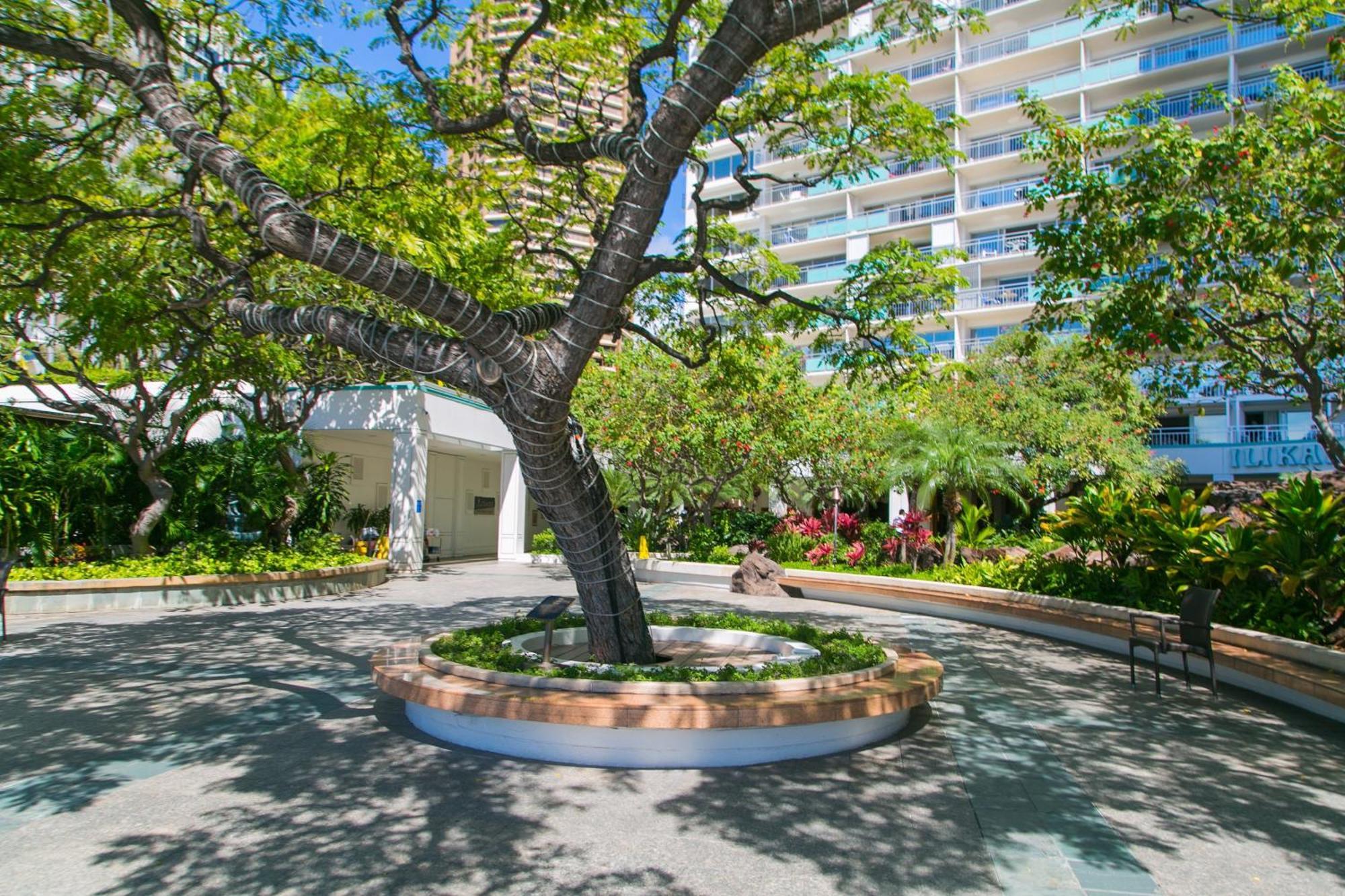Ilikai Tower 936 Lagoon View 1Br 호놀룰루 외부 사진